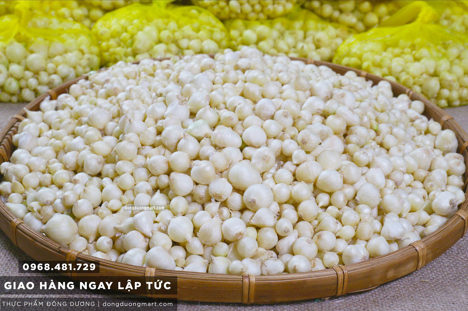 hành tăm tại hà nội , hành tăm hà nội , hành tăm ở hà nội , hành tăm nghệ an